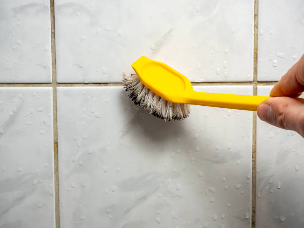 Best Black Mold Remediation in High Point, NC